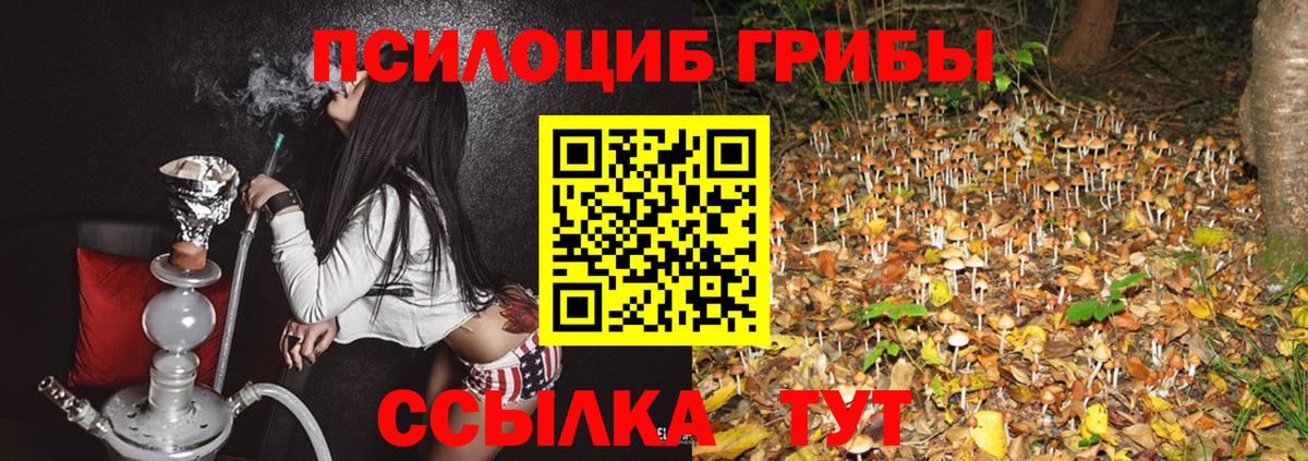 Алатырь  Псилоцибиновые грибы ЛСД  сколько стоит  Псилоцибиновые грибы Cubensis  Вход с VPN 